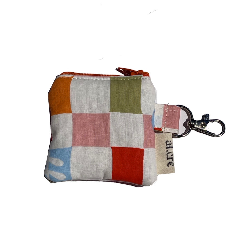 colorful picnic airpods case